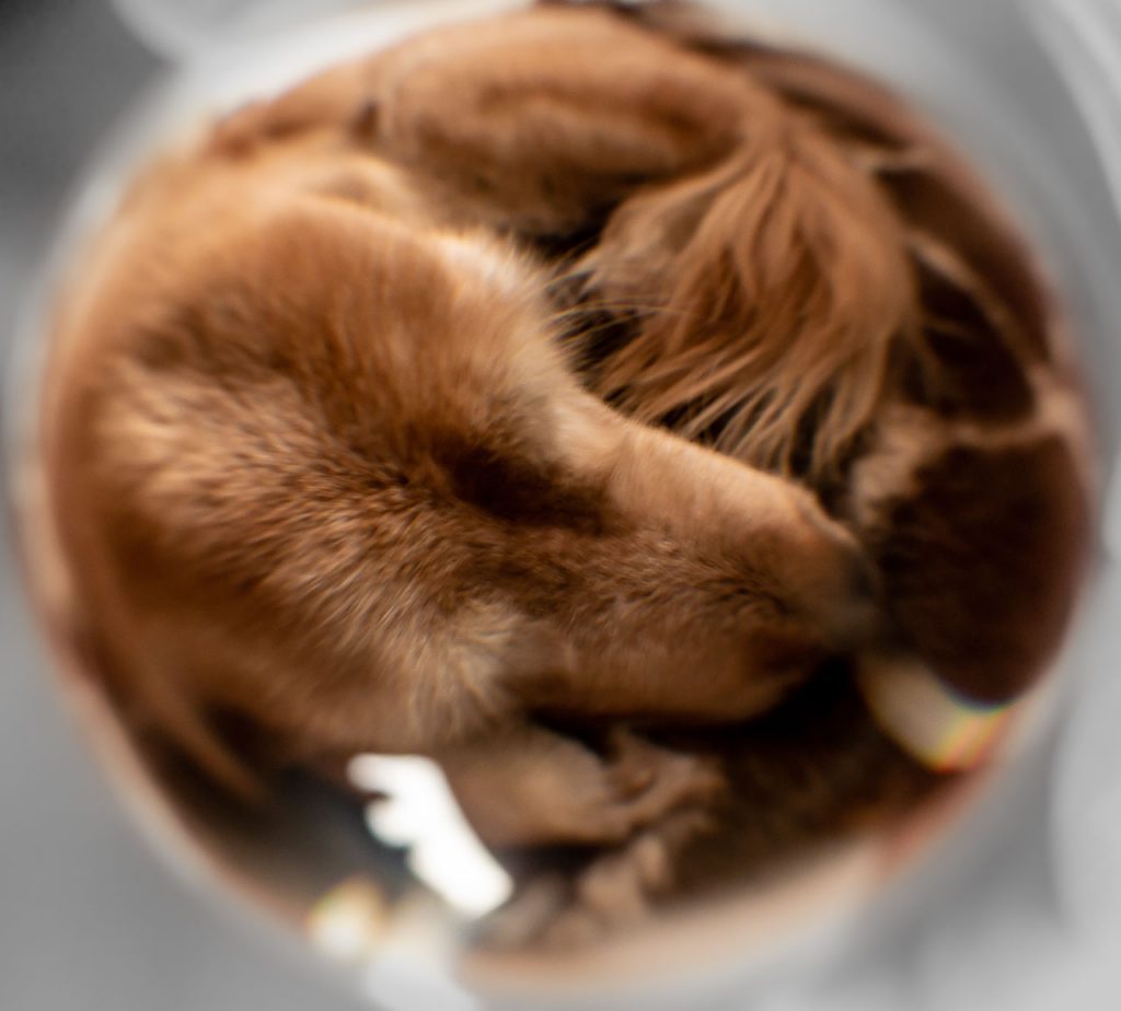 Glaskugelfotografie