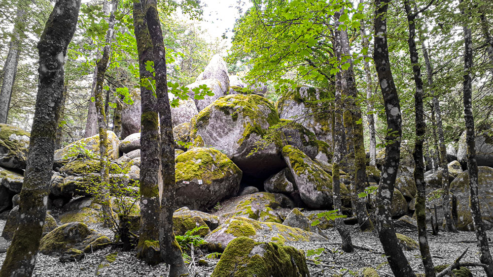 Günterfelsen