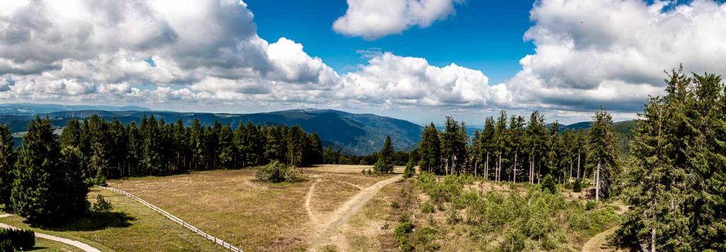 Schwarzwald - Brend