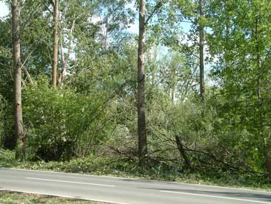 Hagelsturm Reichenau