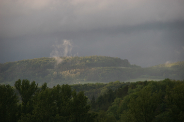 Stockach - Regenwald Stockach - Regenwald