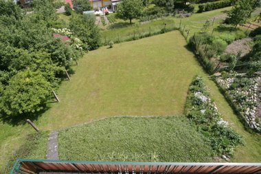 Garten im Juni letztes Jahr