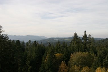 Aussicht Gedächtnishausturm - Schwarzwald
