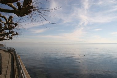 Bodensee bei Meersburg Bodensee bei Meersburg