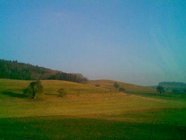 hintere Homburg