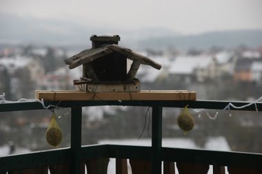 Vogelhaus Vogelhaus